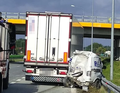 Miniatura: Kierowca TIR-a zabił robotnika malującego...