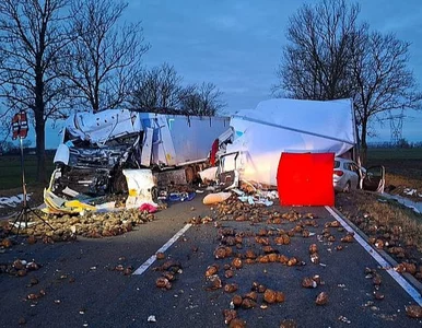 Miniatura: Tragedia na DK22. 25-latek czołowo uderzył...