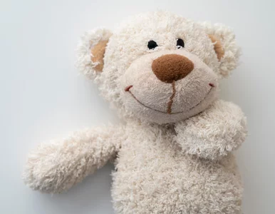 Miniatura: Pluszaki jak nowe bez prania. Ten kuchenny...