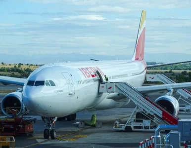 Miniatura: Opłaty za nieregularny bagaż. Znana linia...