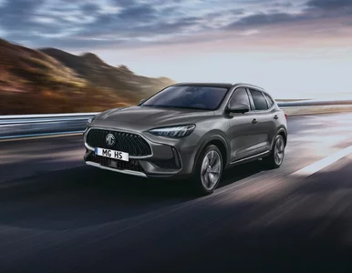 Miniatura: W 2024 roku czeka nas zalew chińskich...