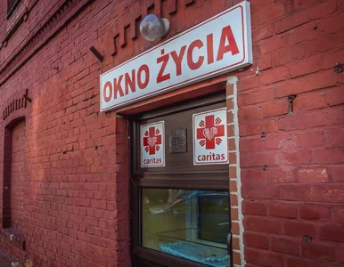 Miniatura: 1,5-roczny chłopiec w oknie życia. U boku...