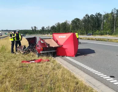 Miniatura: Plaga wjazdów „pod prąd” na autostradach i...