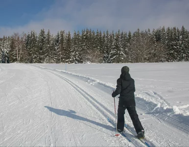 Miniatura: 50 km tras na narty 30 minut od centrum...