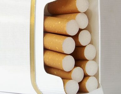 Miniatura: Przechwycono nielegalne papierosy z Chin...