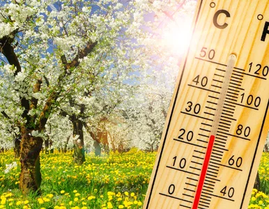 Miniatura: Długoterminowa prognoza dla Polski. Wtedy...