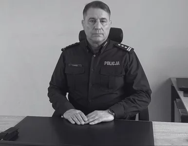 Miniatura: Łoś zderzył się z autem komendanta...