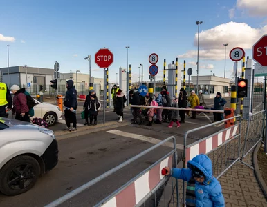 Miniatura: Japoński producent aut stworzył fundusz...