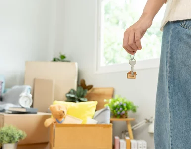 Miniatura: Rząd bierze się za wynajem...