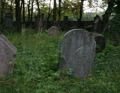 Miniatura: Zdewastowano cmentarz żydowski w...