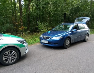 Miniatura: Zaskakujący ładunek w bagażniku kombi. Za...
