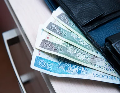 Miniatura: Przeciętne wynagrodzenia w polskich...