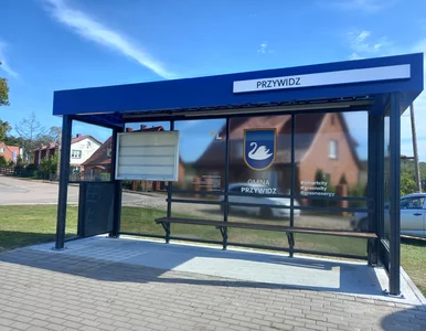 Miniatura: 16-latek ogłosił zbiórkę, żeby pokryć...