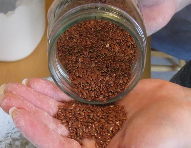 Miniatura: Większość je siemię lniane źle. Kardiolog...