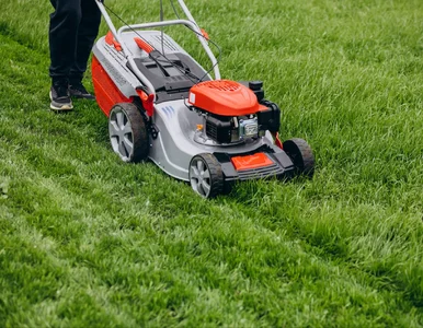 Miniatura: Sąsiad wyjechał z kosiarką po deszczu....