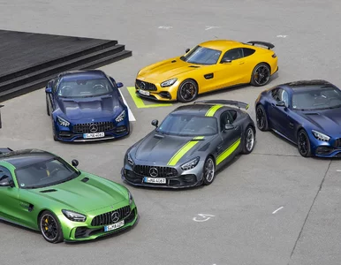 Miniatura: AMG GT R Pro. Topowy Mercedes-AMG po zmianach