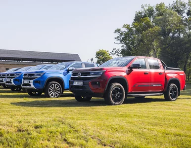 Miniatura: Volkswagen Amarok w różnych wersjach i z...
