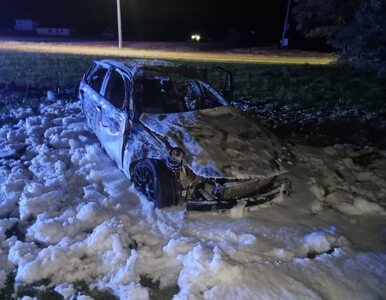 Miniatura: Wypadek BMW w Rogaszycach. Do sieci...