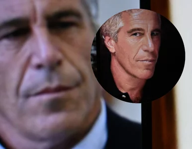 Miniatura: Epstein finansował eksperymenty na...