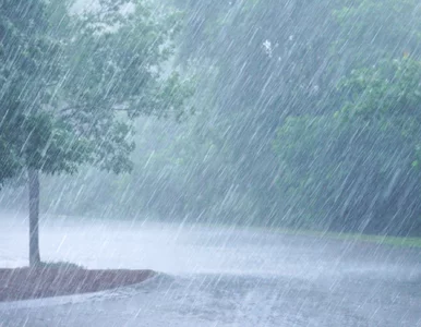 Miniatura: IMGW bije na alarm. Polskę czeka pogodowy...