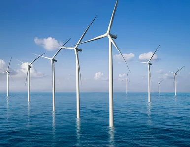 Miniatura: Zielone światło dla OZE? Rok 2026 może...