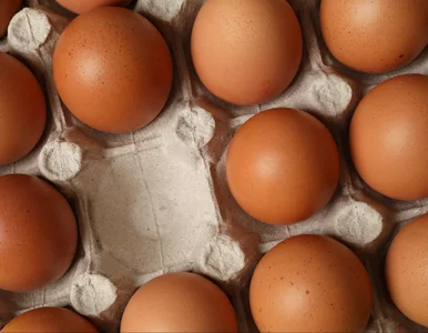 Miniatura: Polacy masowo wybierają te jajka, a to...