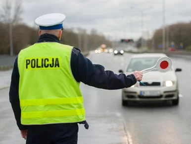Miniatura: Lada chwila w życie wejdą nowe przepisy....