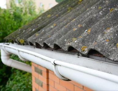 Miniatura: Ostatni dzwonek dla właścicieli domów....