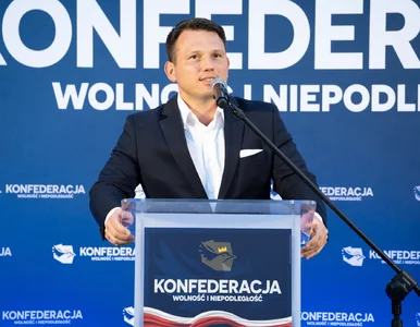 Miniatura: Gigantyczne problemy Mentzena. PKW nie...