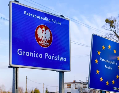 Miniatura: Straż Graniczna chce wzmocnić monitoring...
