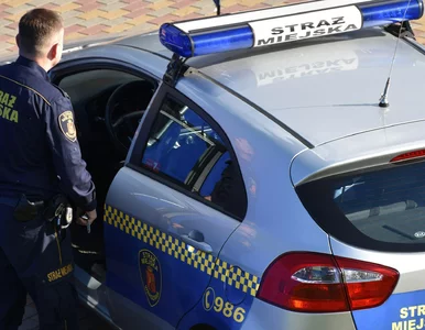 Miniatura: Straż miejska może zażądać danych z polisy...
