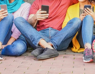 Miniatura: Naukowcy z SUM: Nastolatek w sieci – im...