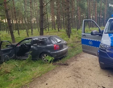 Miniatura: Policjanci musieli strzelać. Krewki...