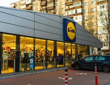 Miniatura: Lidl dla kierowców. Specjalna oferta...