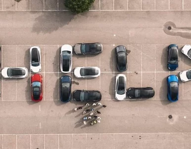 Miniatura: Strajk głodowy z powodu... Tesli....