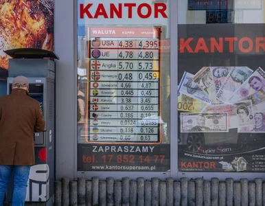 Miniatura: Kursy walut 9 lutego 2026. Po ile dolar,...