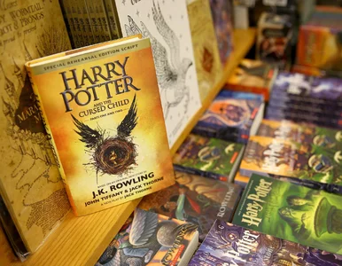 Miniatura: Fani Harry’ego Pottera zatrzymali kabel...