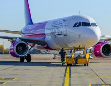 Miniatura: Wizz Air spełni oczekiwania pasażerów....