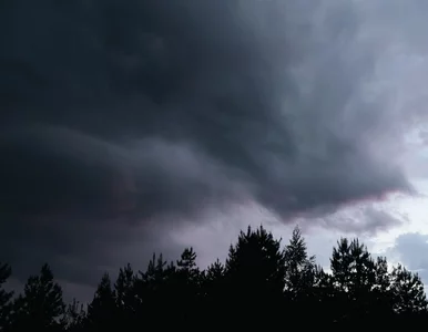 Miniatura: Tego ostrzeżenia lepiej nie bagatelizować....