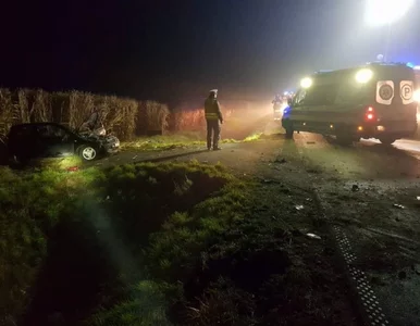Miniatura: Miał 4,5 promila i nie mógł chodzić. Ale...