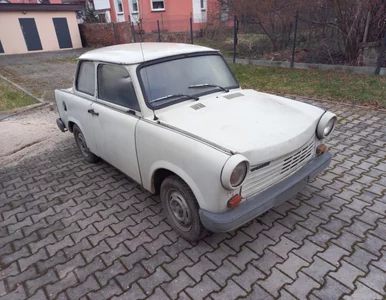 Miniatura: Tego nikt się nie spodziewał. Złodzieje...