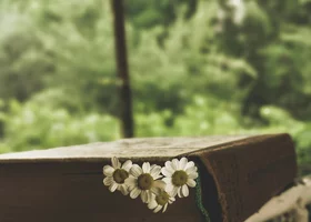 Miniatura: Quiz ortograficzny na start weekendu....