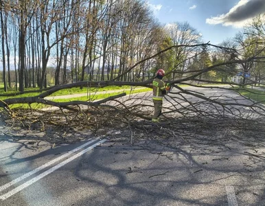 Miniatura: Ponad 2387 interwencji. Ostrzeżenia dla...