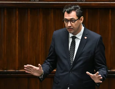 Miniatura: „Podejrzany jest przestępcą”. Burza po...