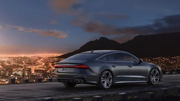 Audi na zdjęciu to: