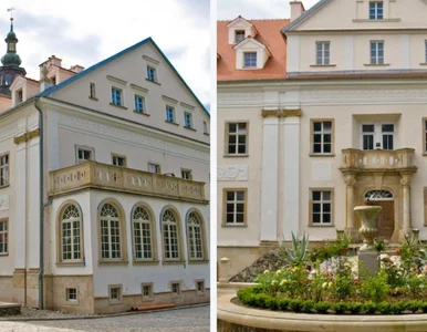 Miniatura: Słynna atrakcja powraca po przerwie...