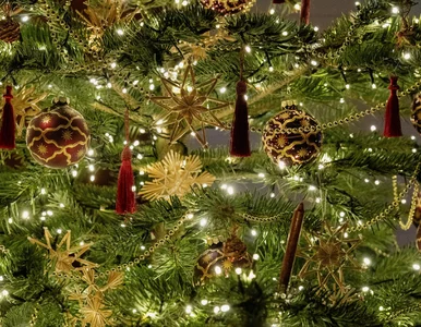 Miniatura: Rekordowo długa przerwa od nauki w...