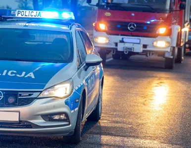 Miniatura: Tragiczny wypadek na S2. Korek sięga ponad...