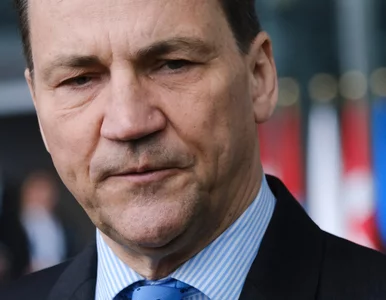 Miniatura: „On nie powie: „friend in d*ck””. Sikorski...