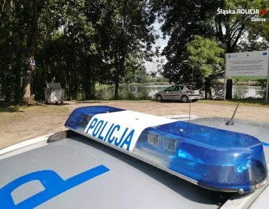 Miniatura: Zderzenie alfy romeo z ciężarówką w...